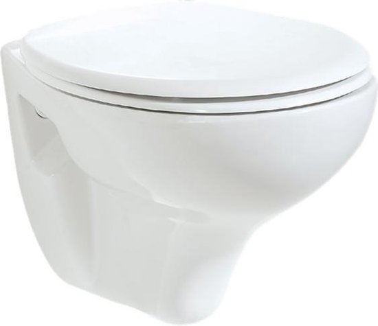op gang brengen koppeling Walter Cunningham Toiletpot/Wandcloset met Bidet DC00320 Wit | bol.com