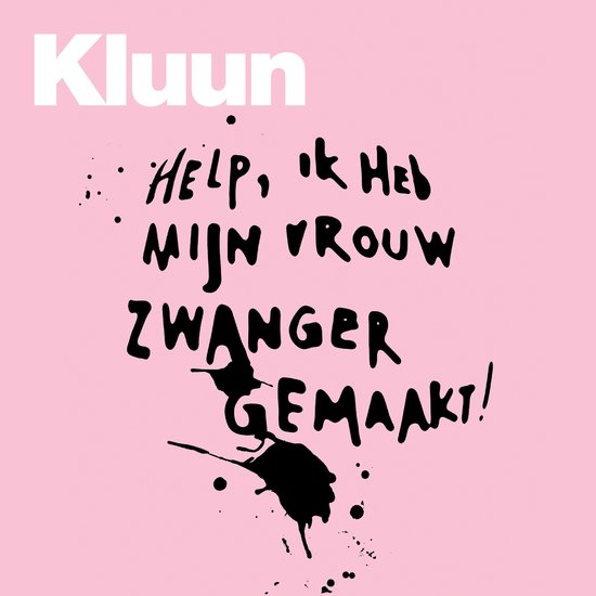 Help, ik heb mijn vrouw zwanger gemaakt! - cover