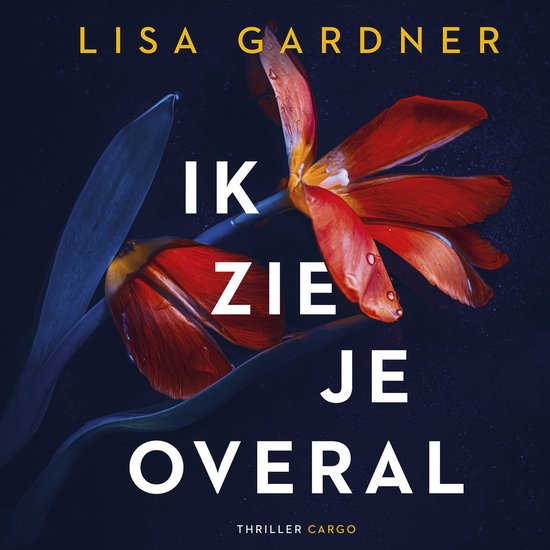 Ik zie je overal - cover