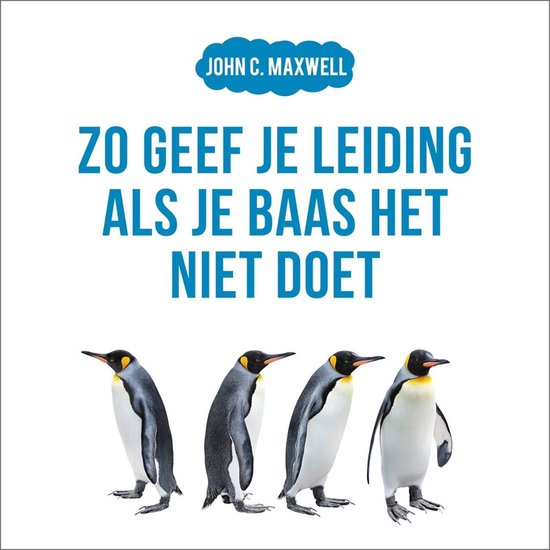 Zo geef je leiding als je baas het niet doet - cover