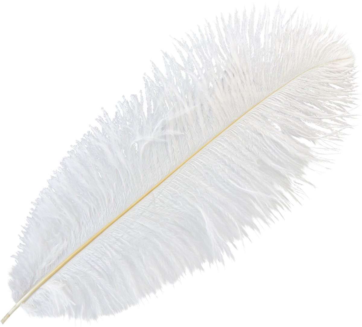 Struisvogelveren Exotische Decoratie Witte Veren 32-35cm 4 st, 4 Stück