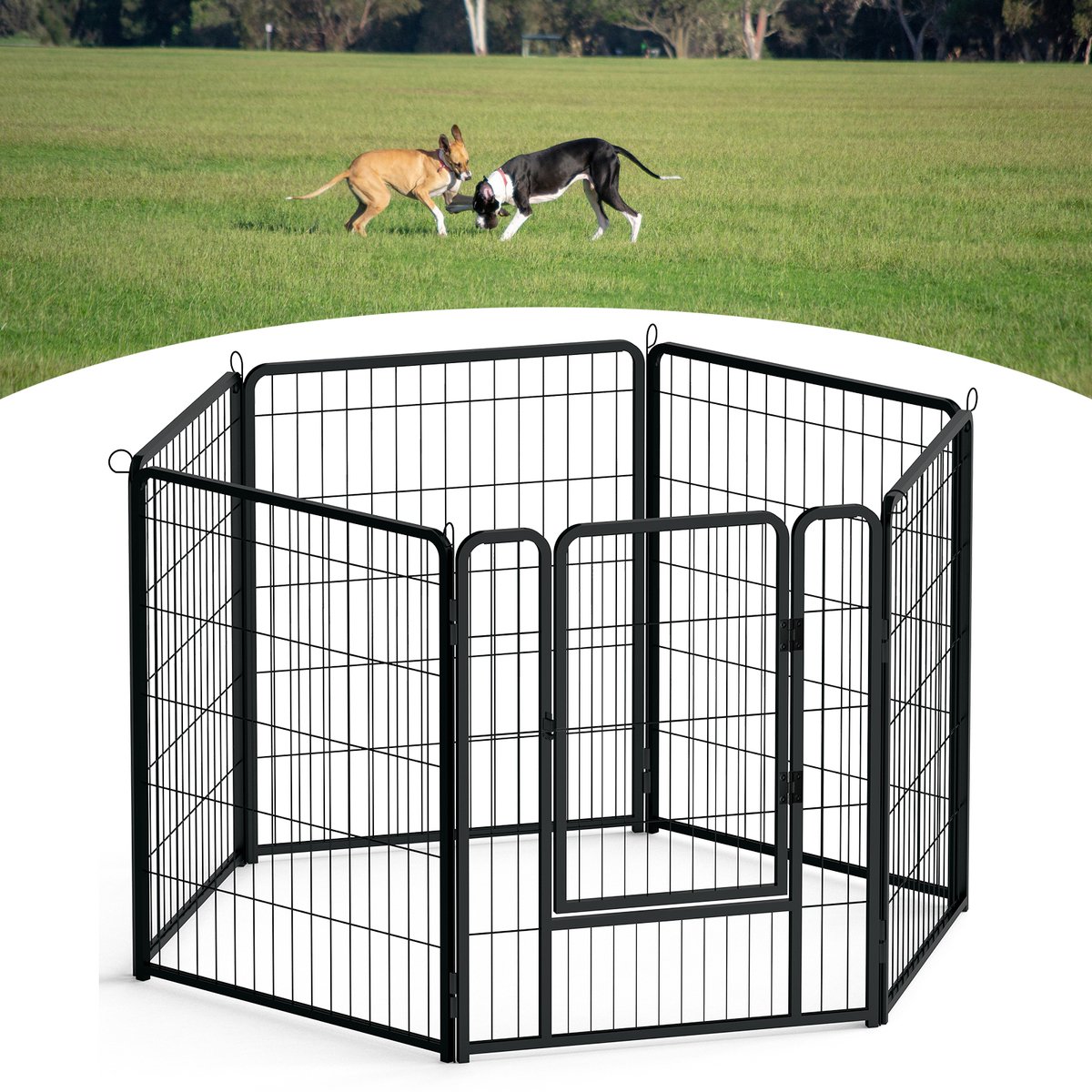 ACXIN Hondenren - Inklapbaar - Met deur - 65×80 cm - 6 panelen - Binnen - Buiten