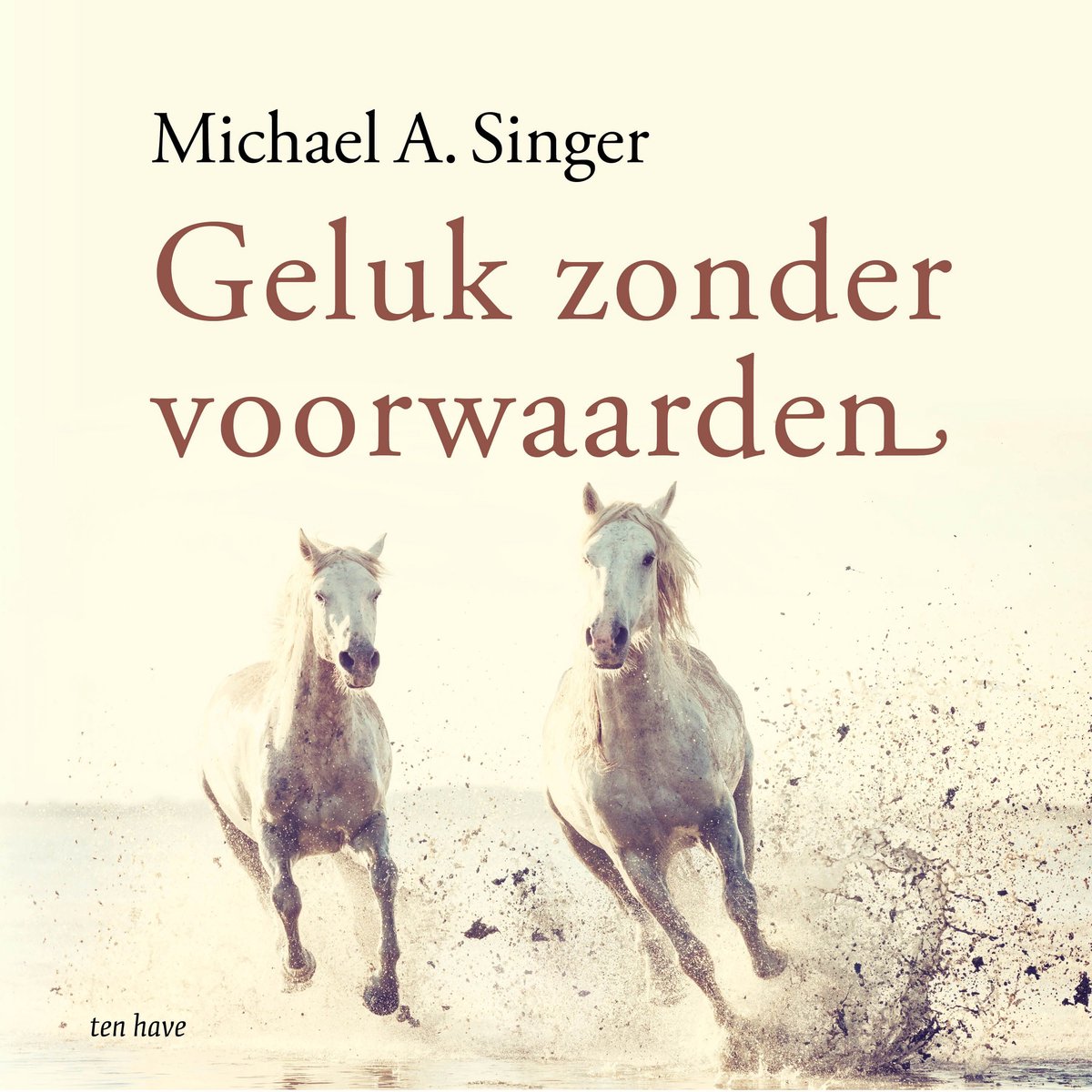 Omslag van Geluk zonder voorwaarden