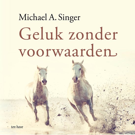 Geluk zonder voorwaarden - cover