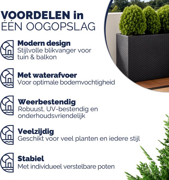 Voordelen van de plantenbak: modern design, waterafvoer, weerbestendig, veelzijdig, stabiel. Zwarte plantenbak met groene planten.
