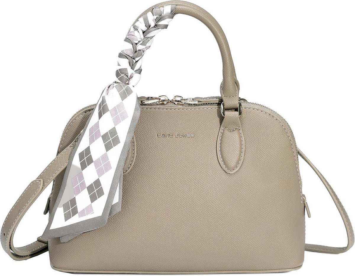 Kleine Dames Handtas Schoudertas PU Leer Crossbodytas Chic voor Werk en Stad