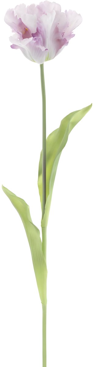 Erutan avon - PSO Single parrot spray Sally lavender 71 cm
