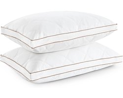 Set van 2 Luxe Kussens 46x66cm - Dons en Veren - 100% Katoen Tijk - Hypoallergeen