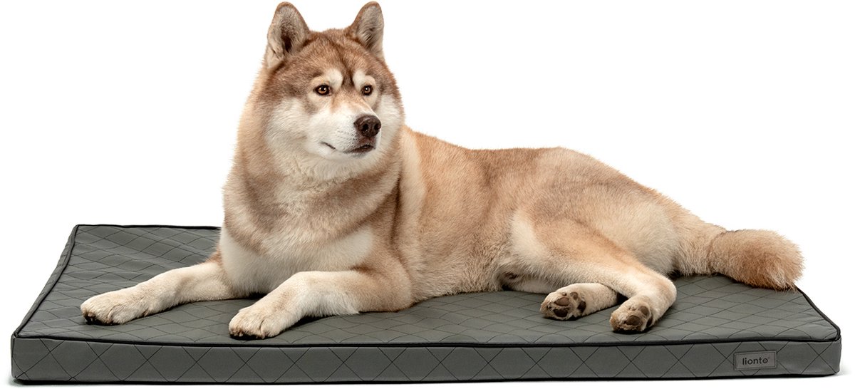 lionto Hondenmat orthopedisch, memory foam & antislip bodem 118x80 cm
