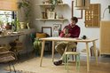 Homme sur une chaise à une table avec une plante de bambou LEGO, un pot vert et des pierres.