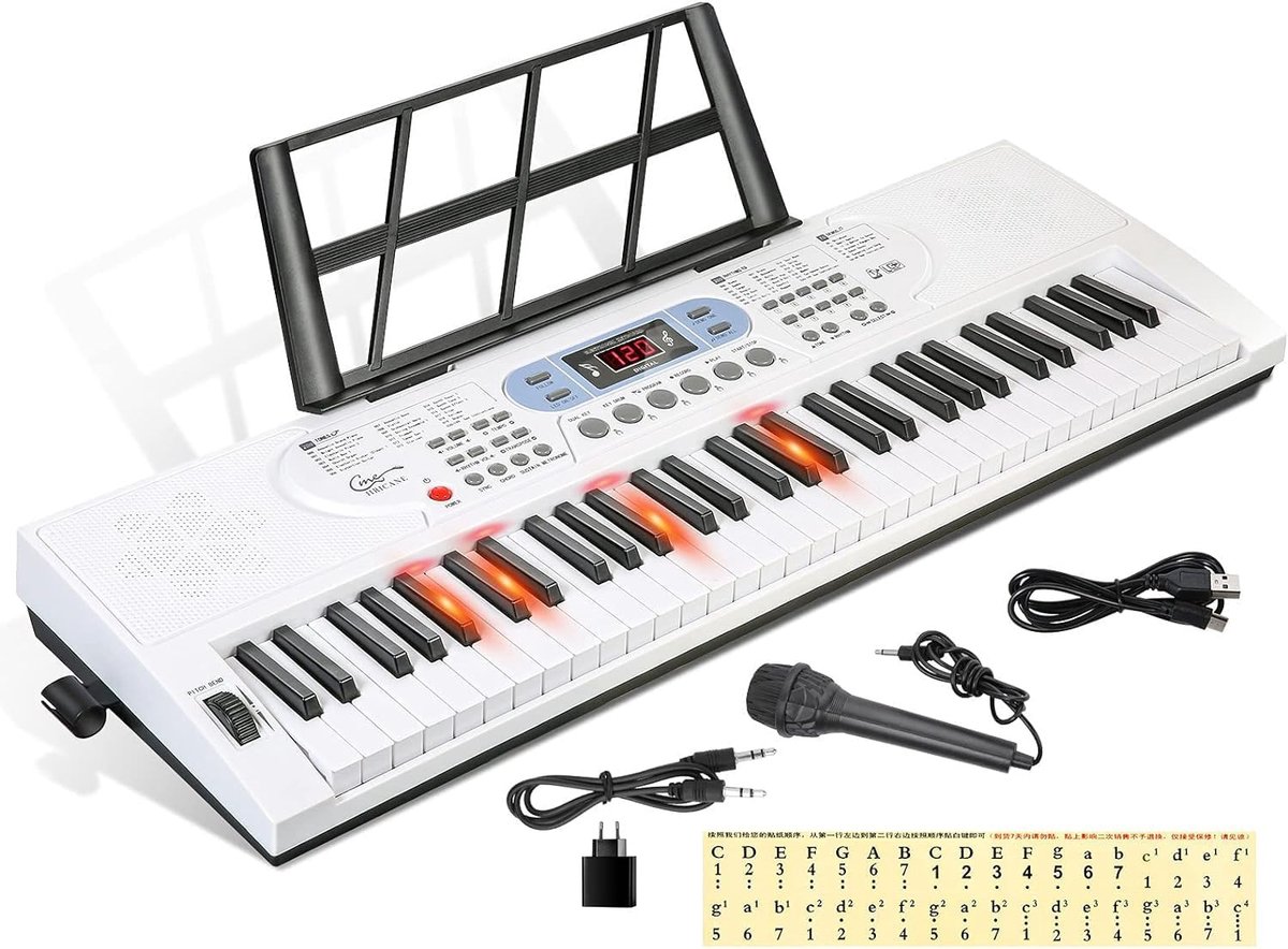 61 Toetsen Keyboard voor Kinderen en Beginners - Draagbaar Digitale Piano met Microfoon en Standaard