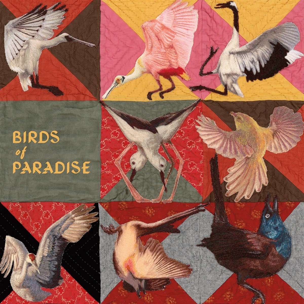Thomas Dollbaum - Birds Of Paradise (LP) (Coloured Vinyl)
