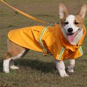Een corgi met een gele regenjas met reflecterende strepen, die buiten in de regen loopt.