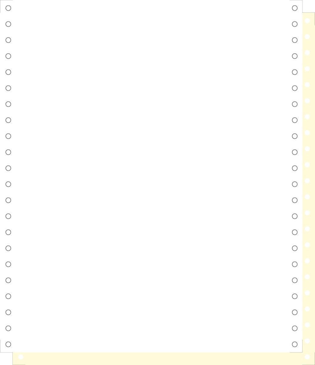 Exacompta 1000 vellen 2ex. zelfkopiërend listingpapier 240x11 2 zijden microgeperforeerd - afscheurbare Caroll banden - Wit - 62412E