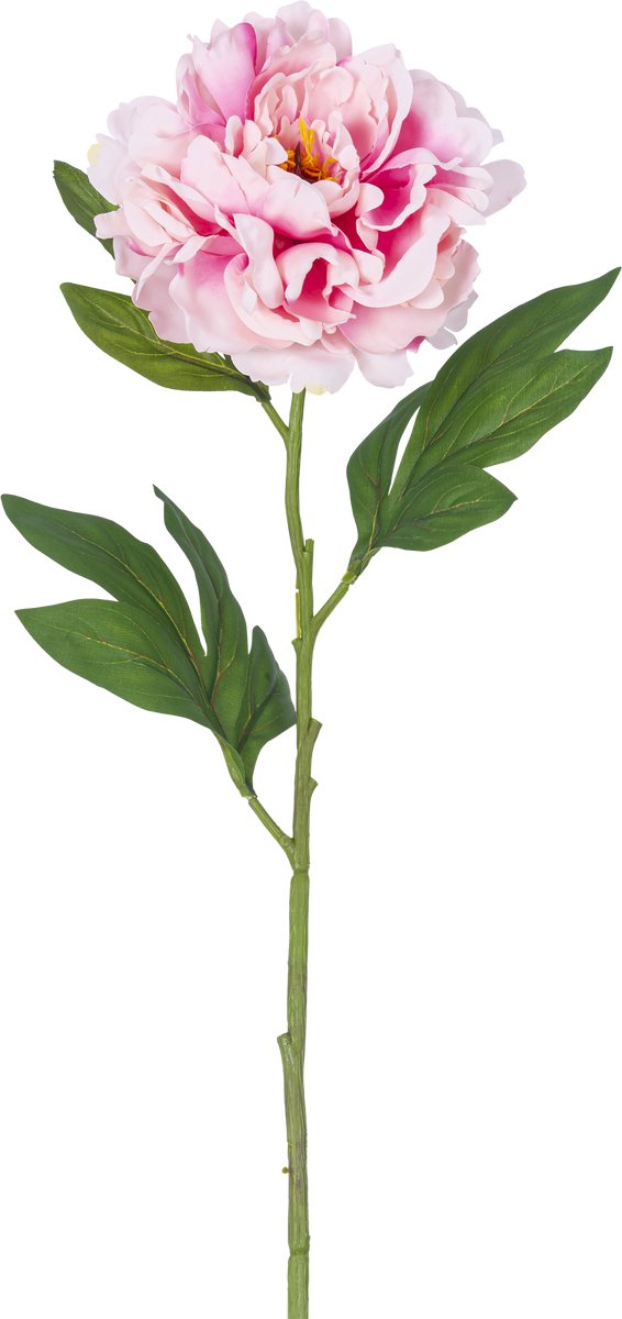Easyplants | Kunstbloem Pioen 77 cm licht roze | Zijde | Nepbloemen | roze | Onderhoudsvrij | Kant-en-klaar