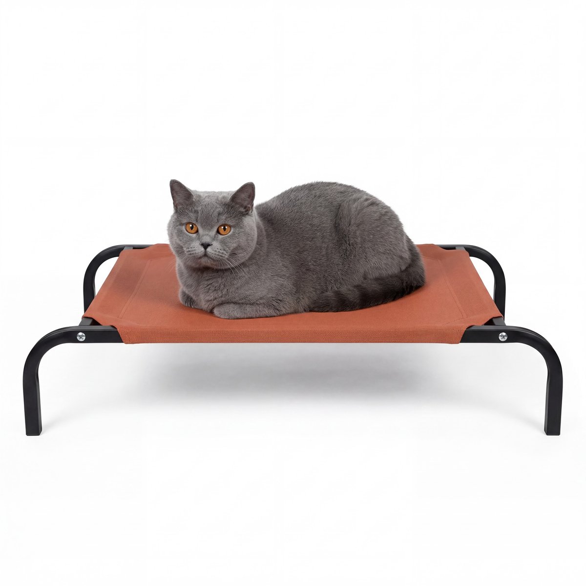 JAXY Hondenbed - Hondenstretcher Binnen & Buiten - Honden Ligbed Orthopedisch - Hondenbed Op Pootjes - Maat S - Terracotta
