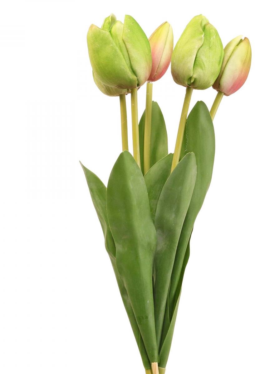 Viana Kunstbloemen tulp groen, lentebloem 48cm bundel van 5, 5 stuks groente
