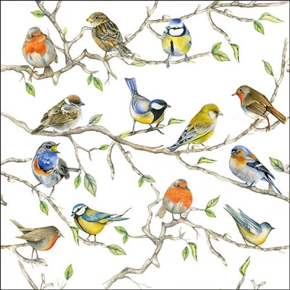 Servetten 33 cm - Bird Meeting - Feestartikelen & Decoratie - 20 stuks