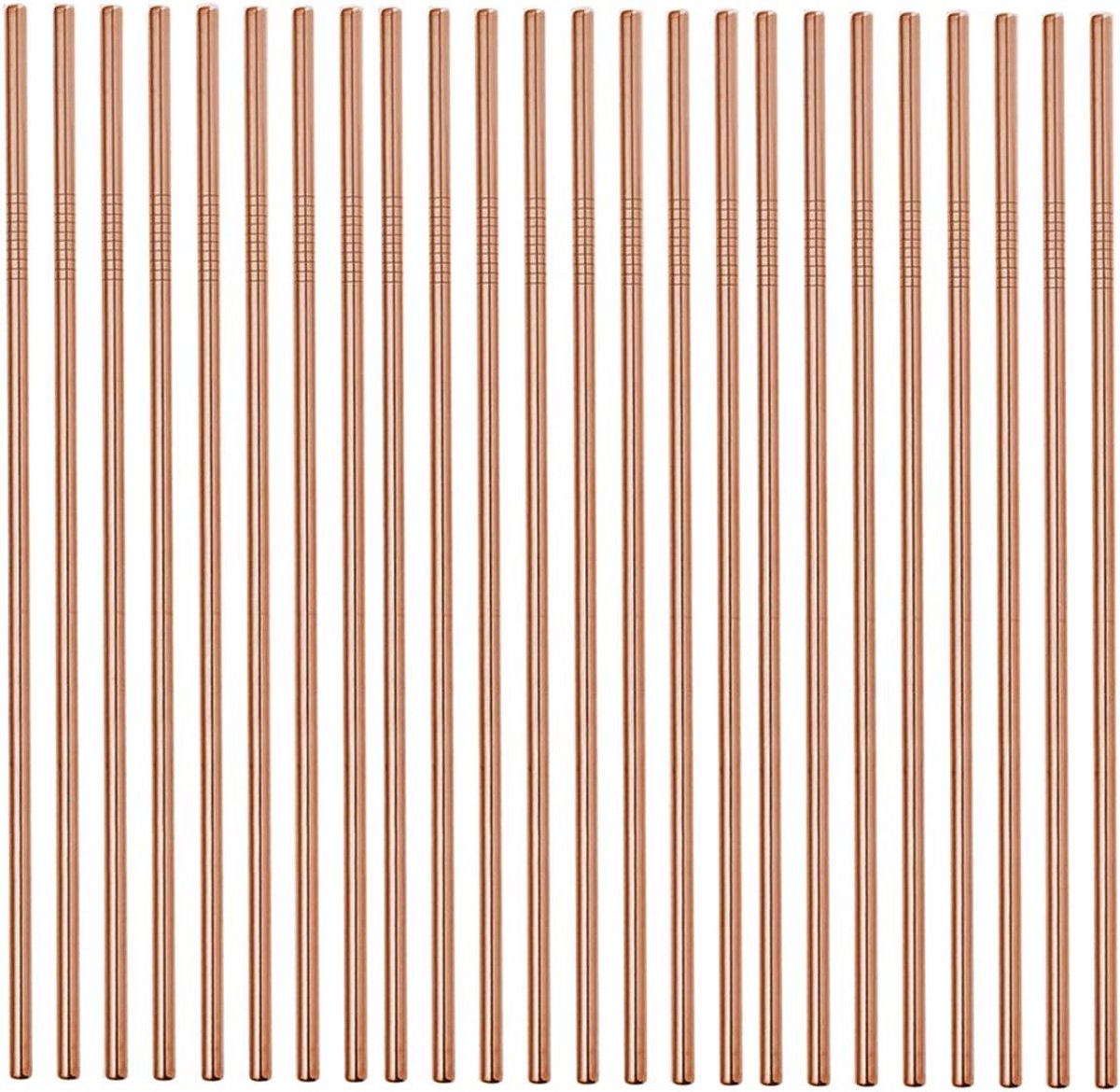 Set van 50 RVS Rietjes, Extra Lange Drinkrietjes voor Tumblers en Reisbekers
