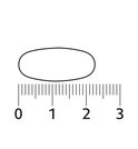 Een pil van ongeveer 2 cm lang, gemeten op een liniaal met markeringen van 0 tot 3.