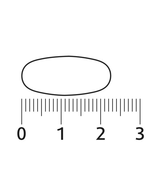 Een pil van ongeveer 2 cm lang, gemeten op een liniaal met markeringen van 0 tot 3.