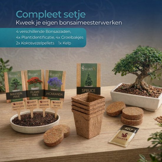 Bonsai starter kit met vier zakjes zaden, vier plantenstekkers, vier potjes, kokosvezelpellets en kelp-meststof. Een bonsai boom staat rechts.