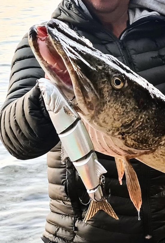 XL Kunstaas Hengel 27cm 218g - Slow-Sinkende Meerdelige Swimait voor Grote Snoek — afbeelding 4