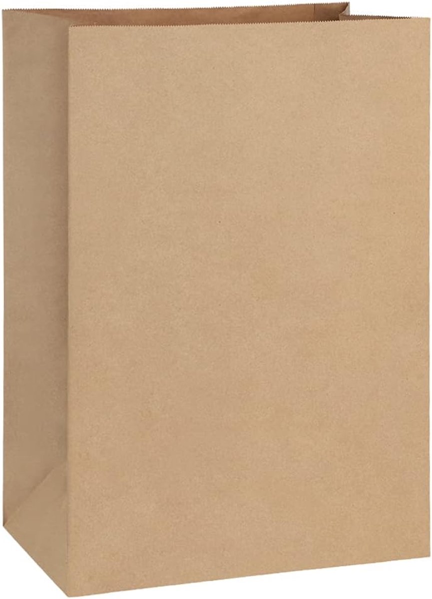 Set van 100 Zware Bruine Kraft Papieren Tassen - 12x7x17 Inch