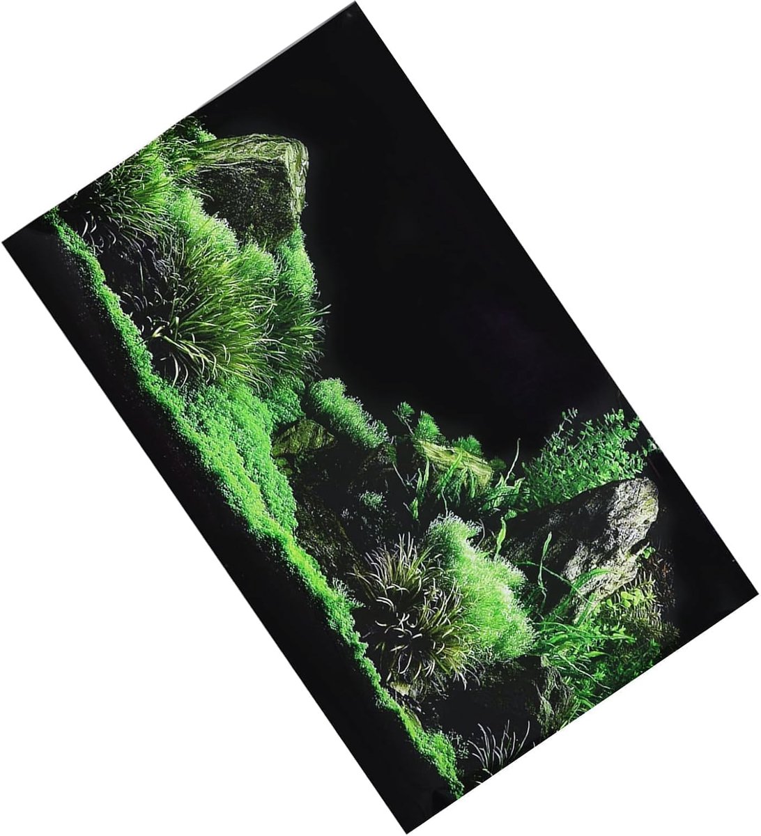 Achtergrond Poster voor Aquarium Zeebodem Water Gras PVC Zelfklevend Decoratie