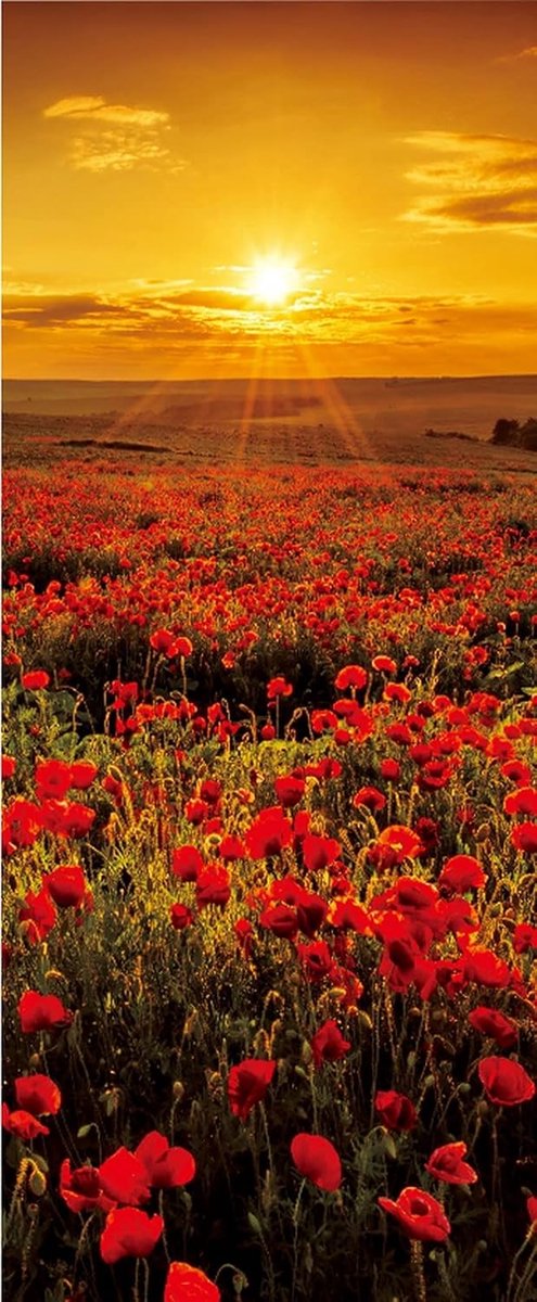 Zelfklevende Deurposter 'Papaver Veld Zonsondergang' - 77x200 cm - Natuur Landschap voor B
