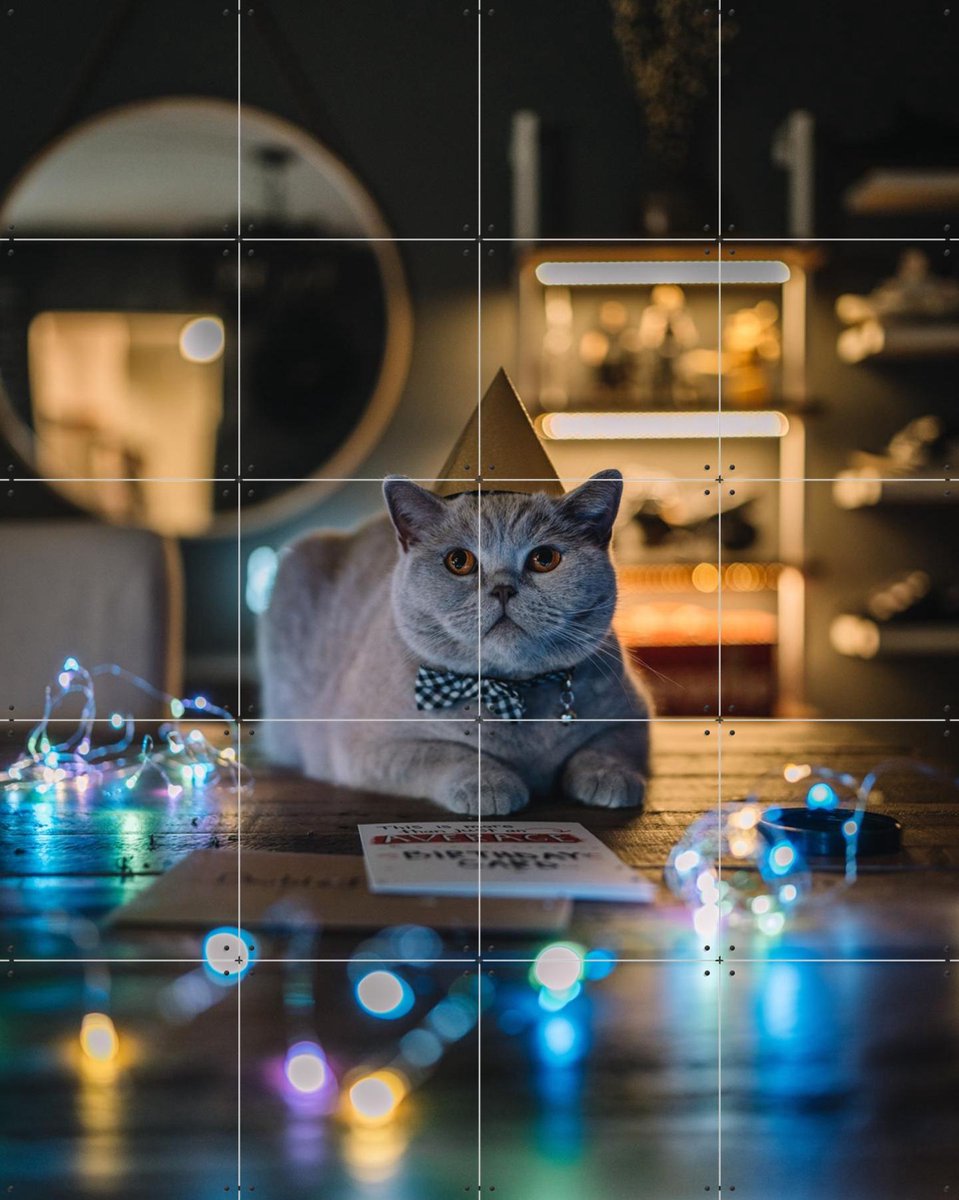 IXXI Birthday Cat, Tristan Zhou - 80 x 100 cm - Gratis ophangtool - Grote wanddecoratie en posters - Speels, Fotografie, Mancave, Kinderkamer