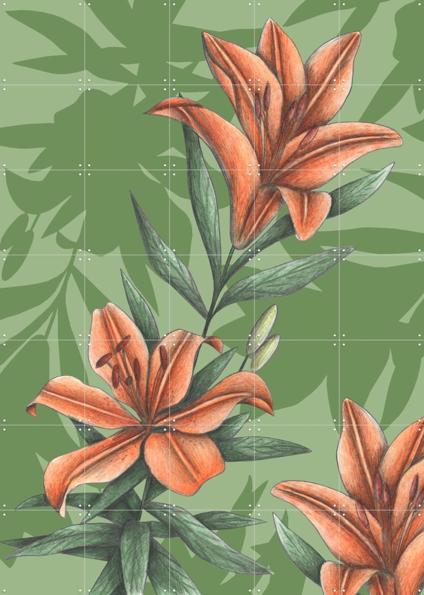 IXXI Orange Lilies, Cecilia Battaini - 100 x 140 cm - Gratis ophangtool - Grote wanddecoratie en posters - Naturalisme, Tekeningen, Illustraties