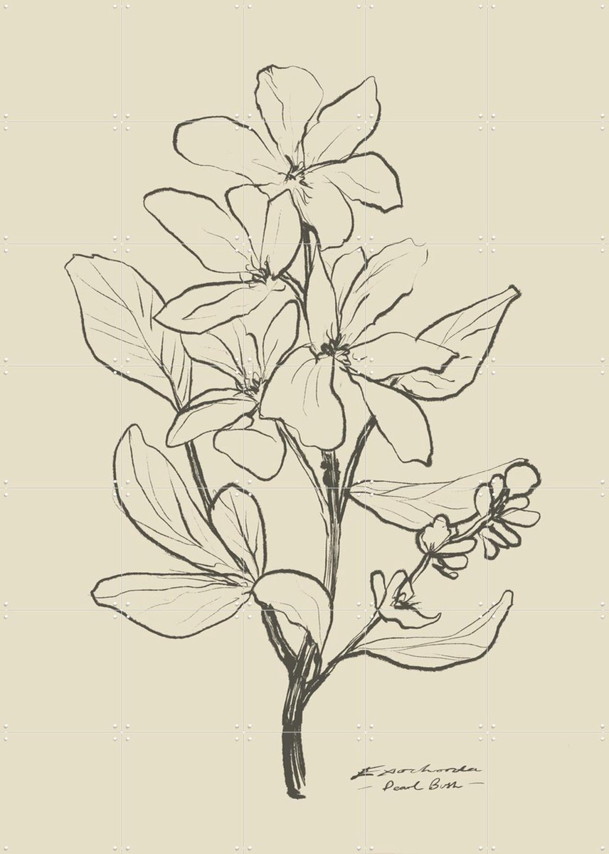 IXXI Floral 1, Dan Hobday & Various - 100 x 140 cm - Gratis ophangtool - Grote wanddecoratie en posters - Naturalisme, Minimalisme, Tekeningen, Line