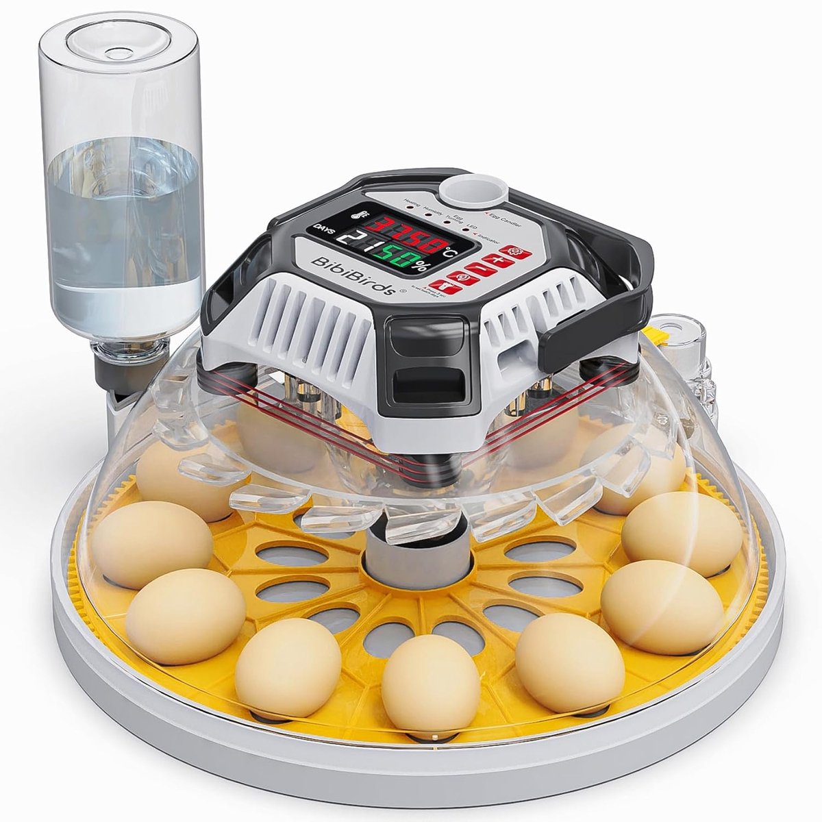 Automatische Broedmachine - Eier Incubator - Kippen Quail - Intelligente Vochtregeling - 12 Eieren Capaciteit - Wit