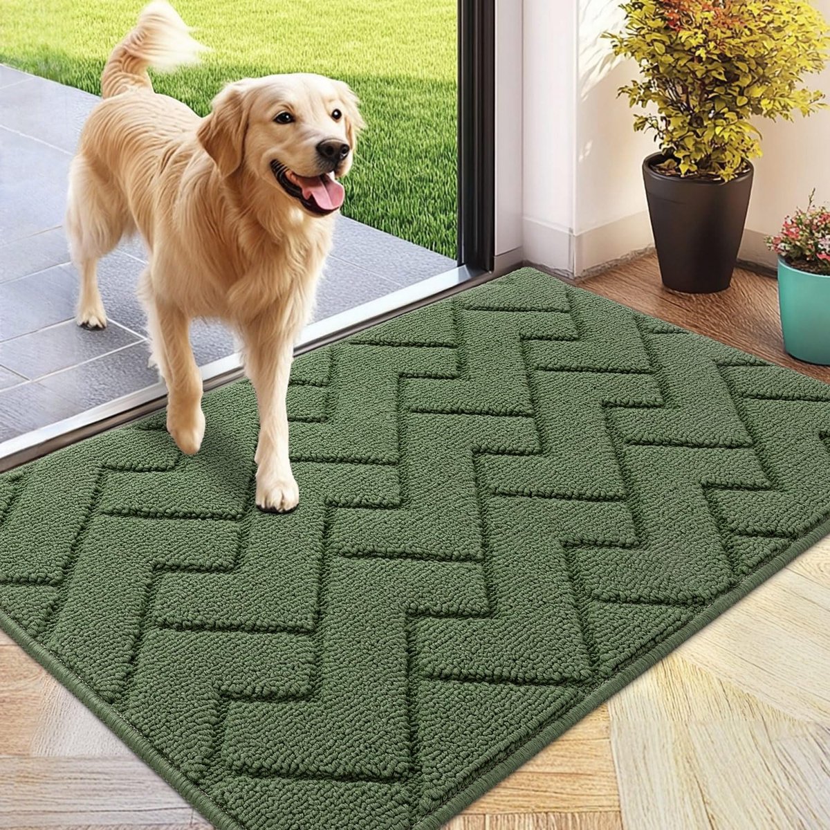 Binnendeurmat - Vuilvanger Mat - Voorkomt Vuil - Machinewasbaar - 60 x 90 cm - Groen