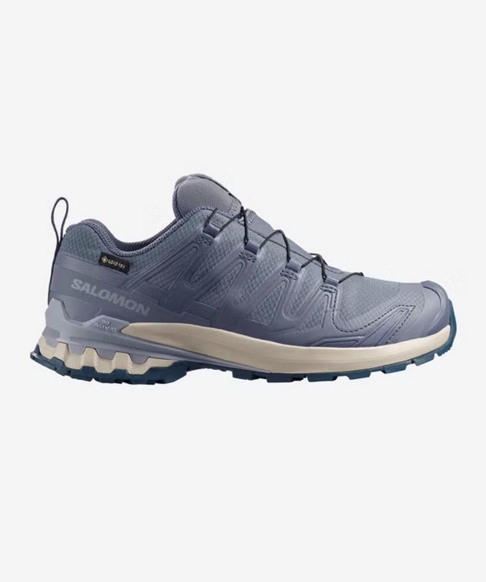SALOMON XA PRO 3D V9 GTX W Grisaille Tradewinds-40 Blauw