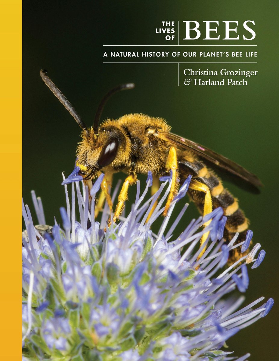 Omslag van The Lives of the Natural World-The Lives of Bees