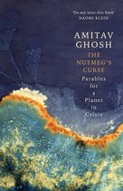 Boekomslag met abstracte blauwe, witte en oranje kleuren en de tekst 'The Nutmeg's Curse' door Amitav Ghosh.
