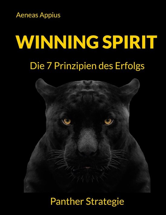 Winning Spirit - cover