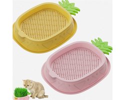 Kattengras plantenbakken met roze ananas - set van 2