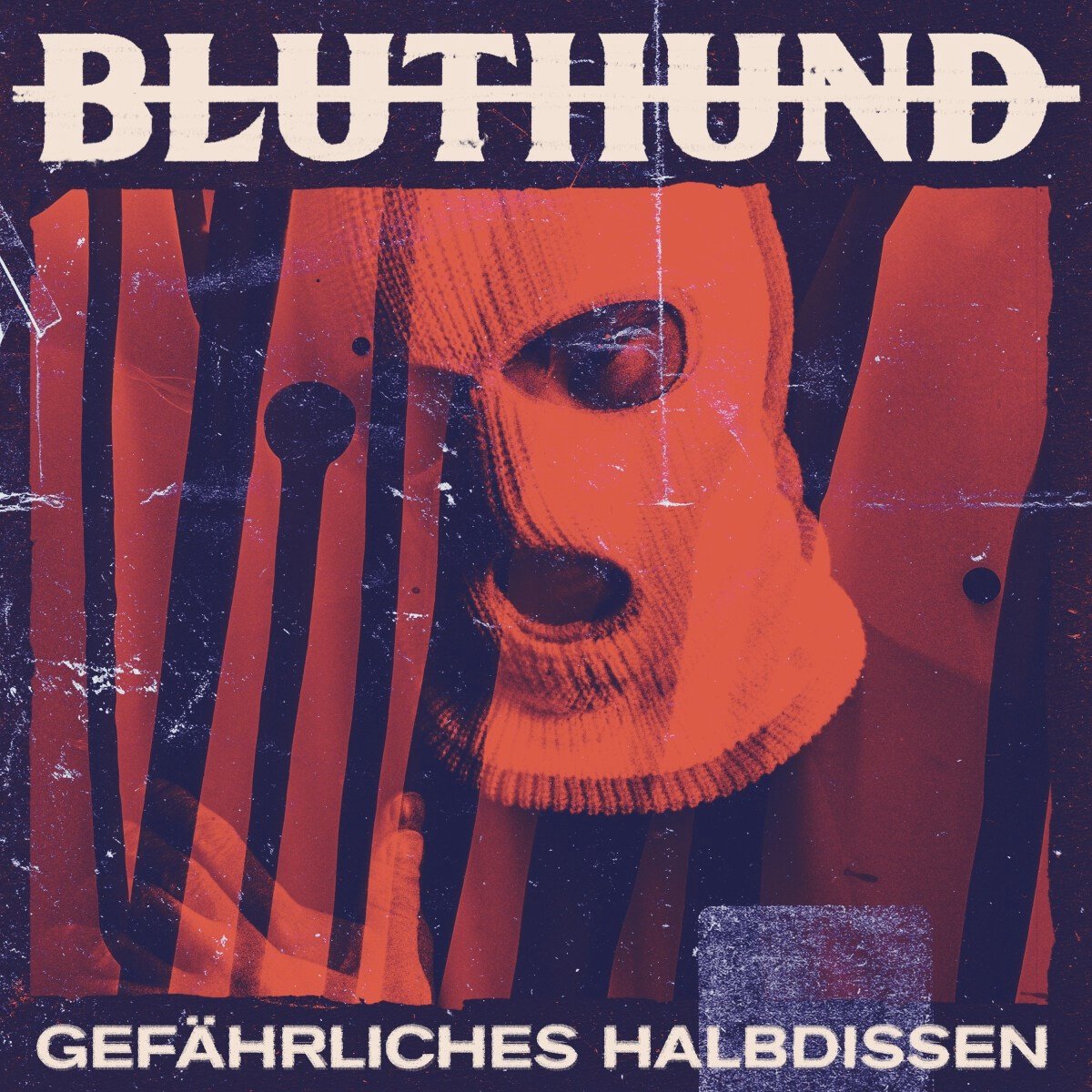 Bluthund - Gefahrliches Halbdissen (CD)