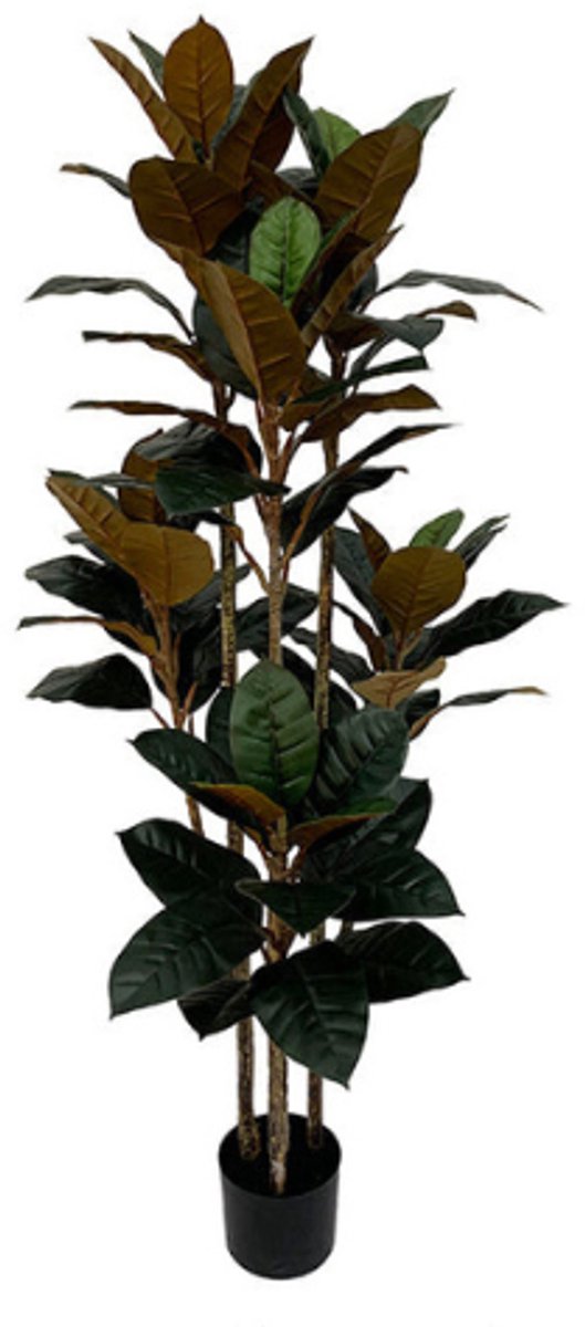 NeverLeafs Rubberboom kunstplant 160 cm - Ficus elastica met 3 stammen Groen