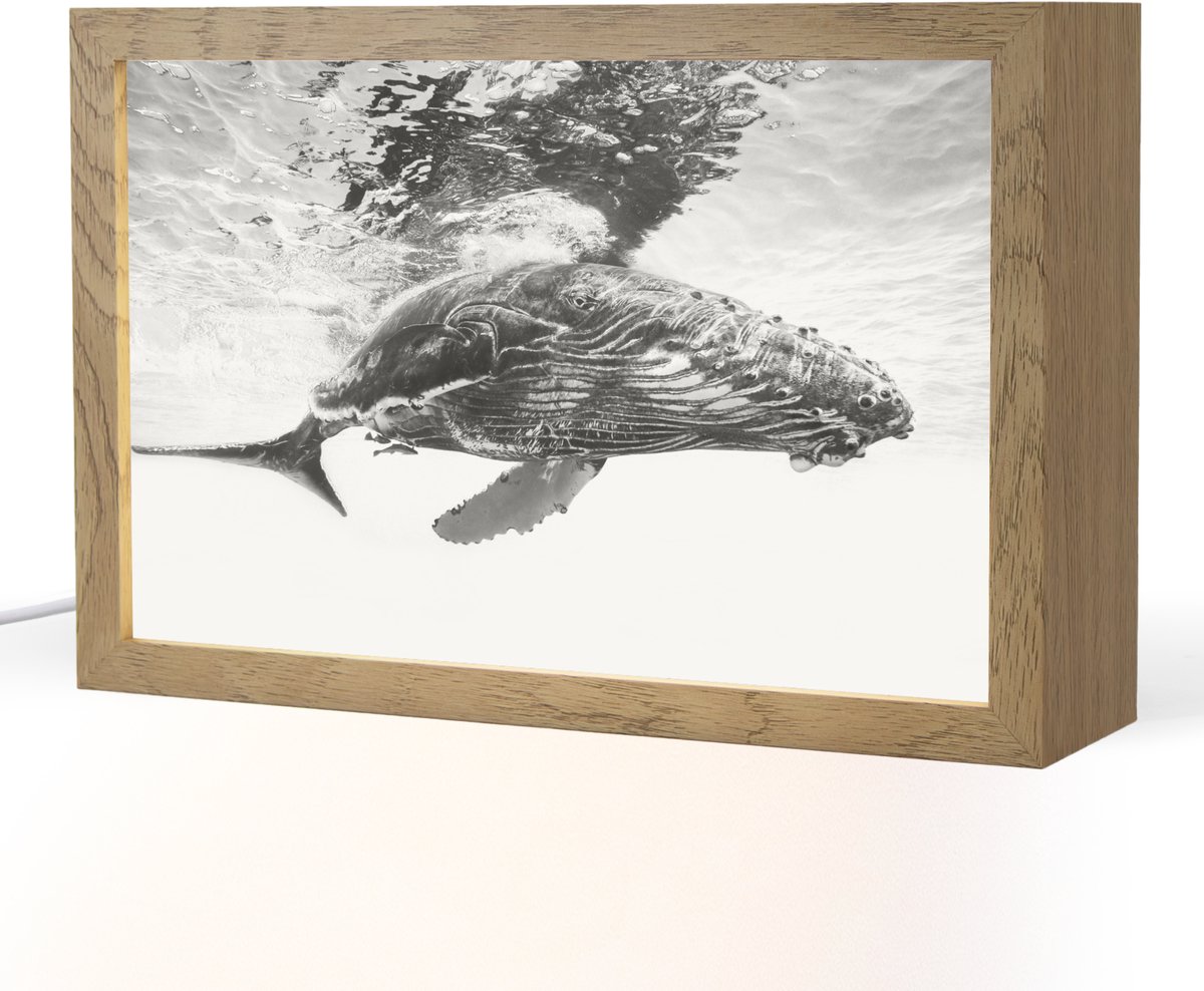 Tafellamp 30x20 cm - LED lamp - Walvis - Water - Dieren - Zwart wit - Decoratieve tafellampen - Dimbaar - Tafellampje slaapkamer - Woonkamer binnen