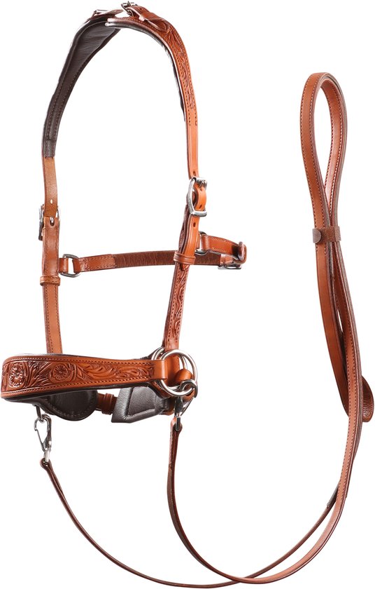 Bitloze hoofdstellen voor paarden Edix Saddles ED2-Rose Bitloze hoofdstellen voor paarden Edix Saddles ED2-Rose