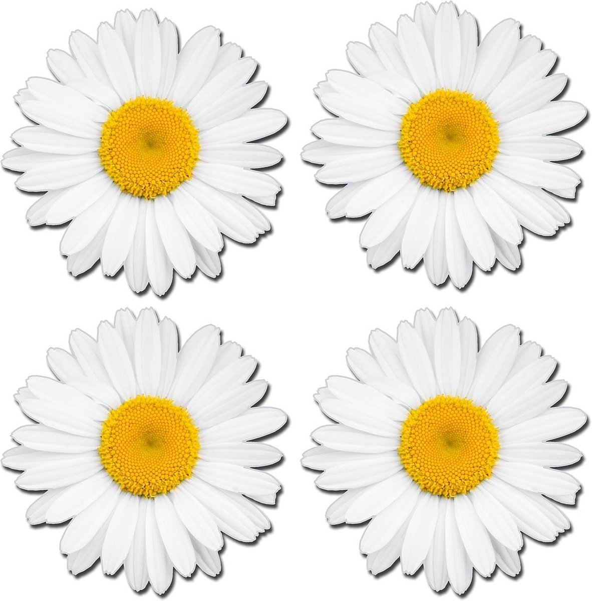 Set van 4 Glanzende Vinyl Stickers - Bloemen Tulp Design voor Laptop, Auto of Spiegel