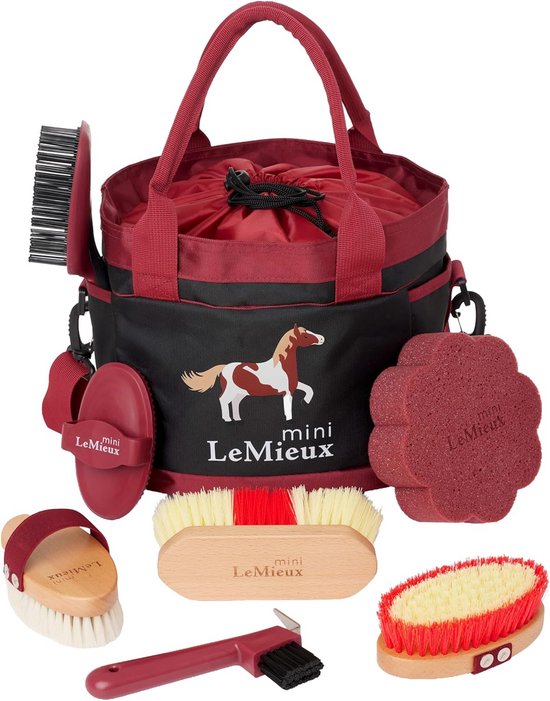 Mini Pony Verzorgingsset voor Kinderen - Complete Poetsset in Handige Tas Mini Pony Verzorgingsset voor Kinderen - Complete Poetsset in Handige Tas