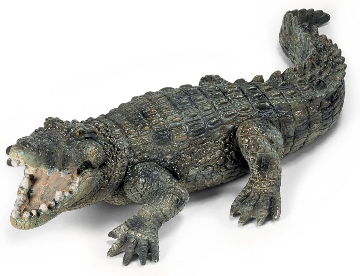 Krokodil Figuur - Reptiel Speelgoed - Educatief Spelen - Handbeschilderd Detail - 16 cm Lang - Groen Bruin