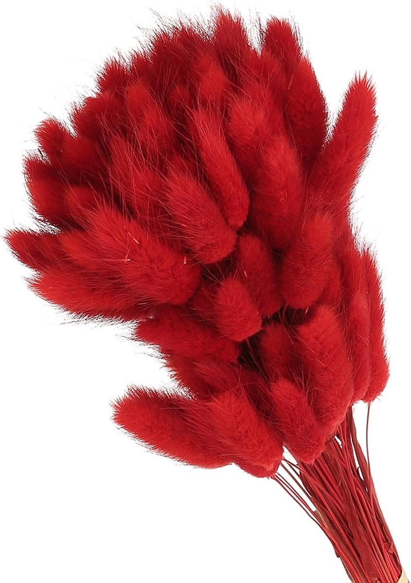 Gedroogde Bloemen - Konijnenstaarten Pampas - Decoratie Huis - Natuurlijke Droogtechniek - 40 cm Lengte - Rood
