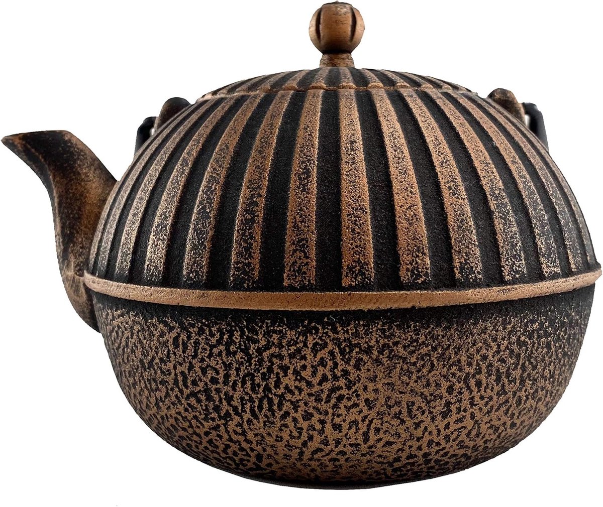 Gietijzeren Theepot - Ceremonie Ketel - Thee Zetten - Handgemaakt Vakmanschap - 0.9 Liter