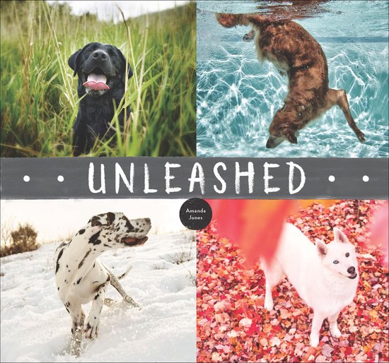 Unleashed - cover